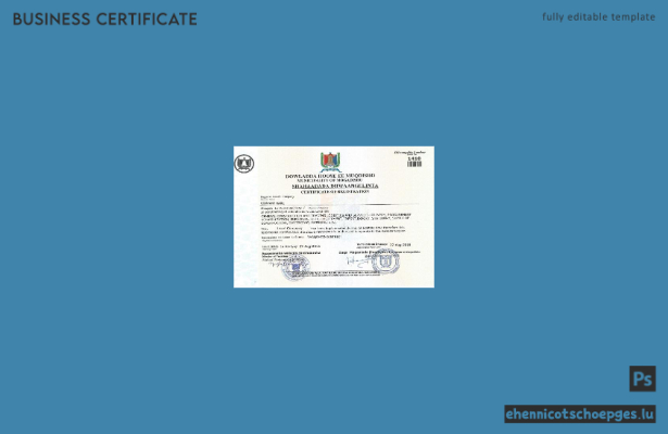 Beispiel für eine Registrierungsurkunde aus Somalia (Vorschau)